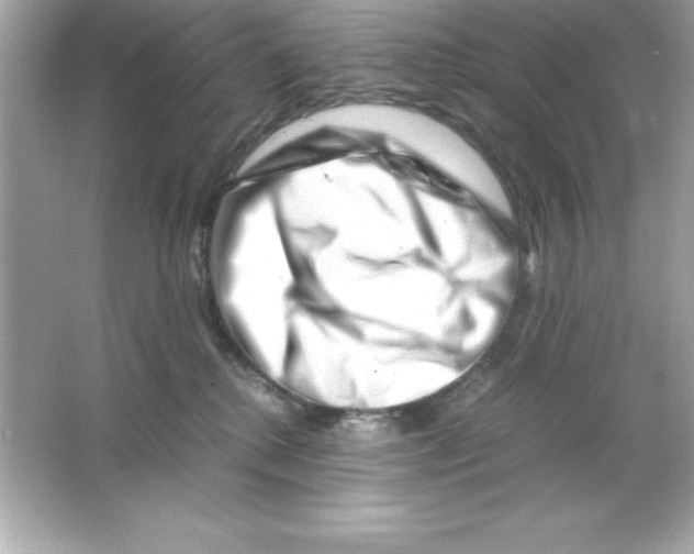 X0000065250280200603172212