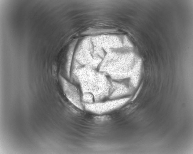 X0000065250281200603172212