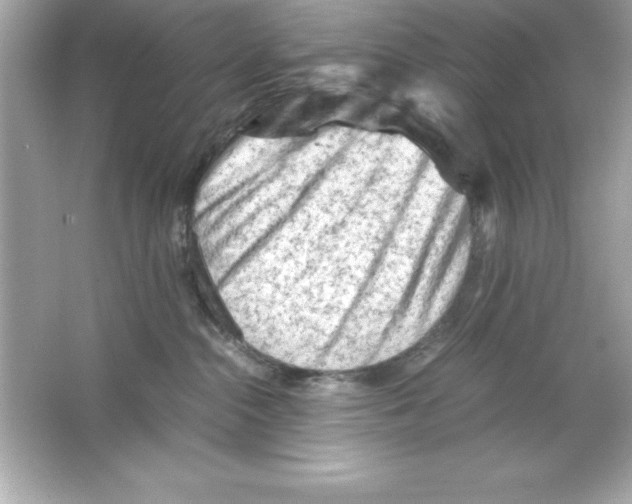 X0000065250284200603172212