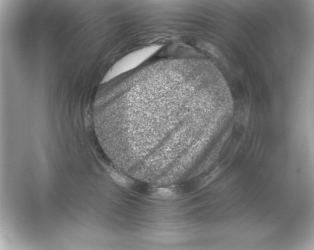 X0000065250285200603172212