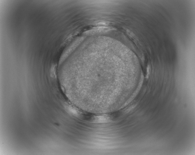 X0000065250286200603172212