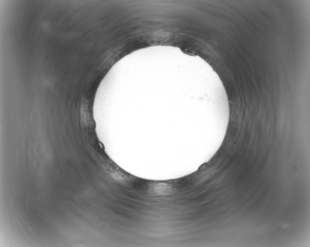 X0000065250287200603172212