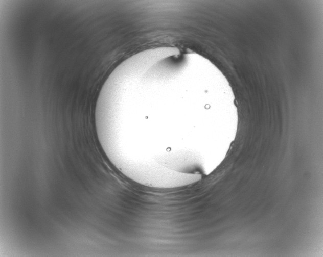 X0000065250288200603172212