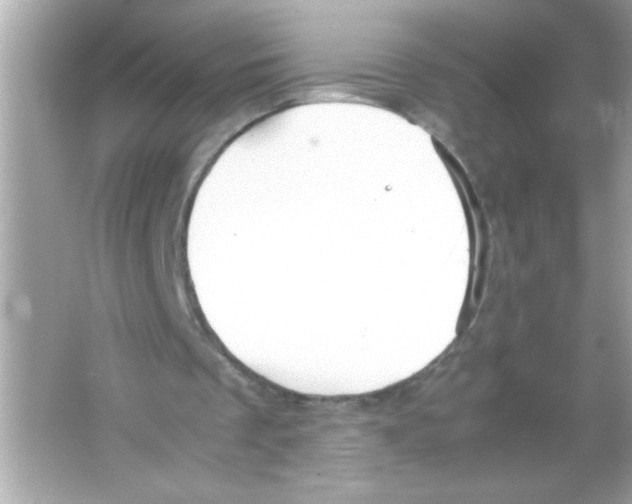 X0000065250289200603172211