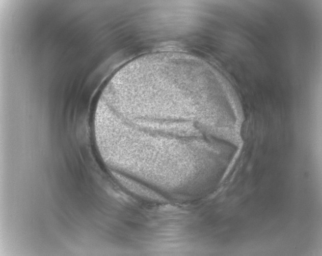 X0000065250290200603172211