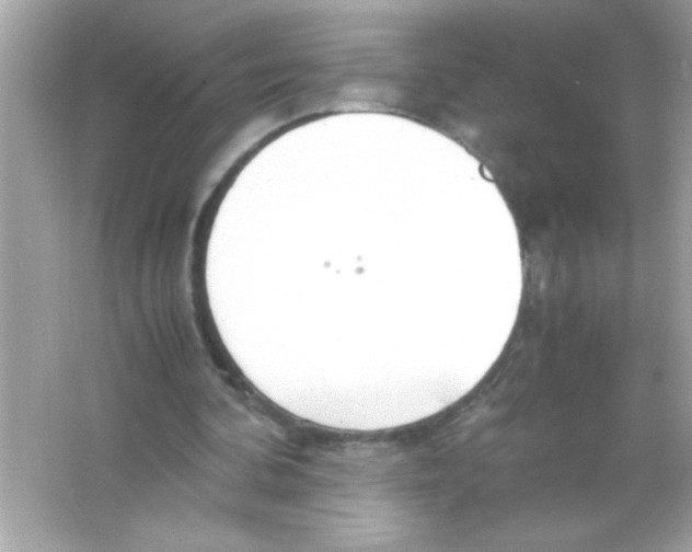 X0000065250292200603172211