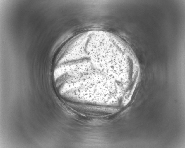 X0000065250293200603172211