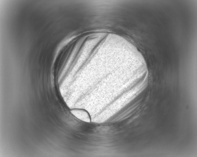 X0000065250294200603172211