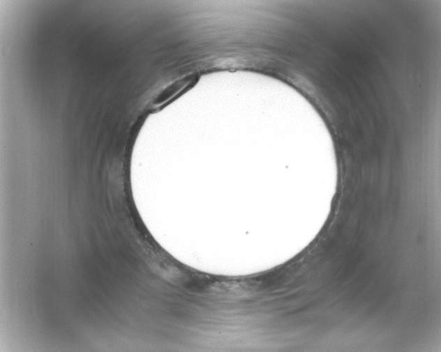 X0000065250297200603172211