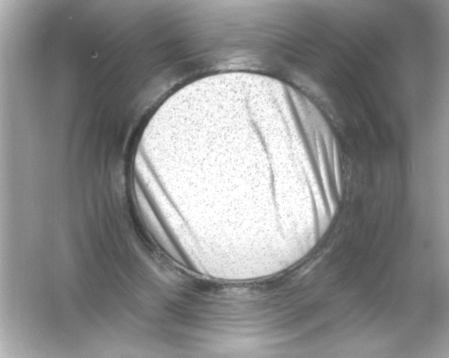 X0000065250298200603172211