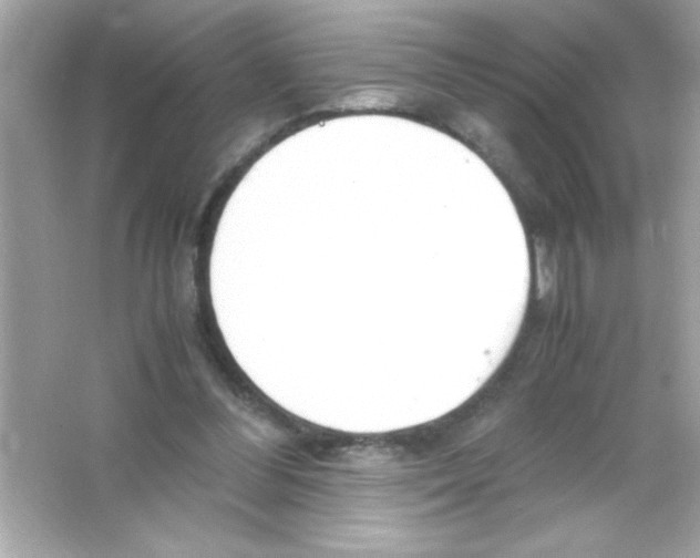 X0000065250300200603172211