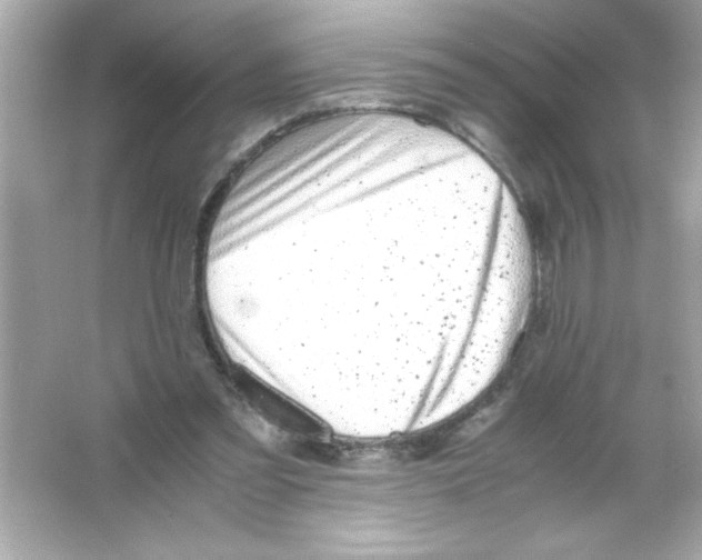 X0000065250301200603172211