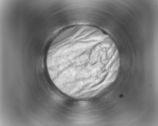 X0000065250302200603172211