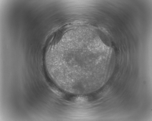 X0000065250303200603172211