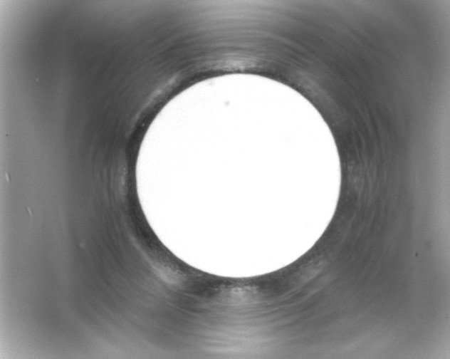 X0000065250304200603172211