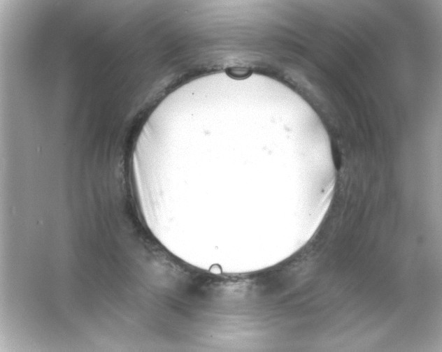 X0000065250306200603172211