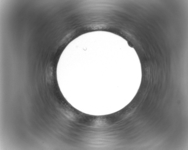 X0000065250308200603172211