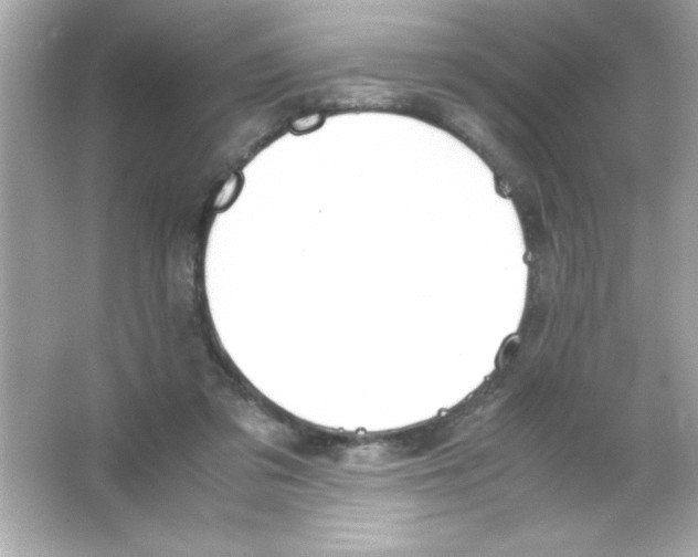 X0000065250309200603172211