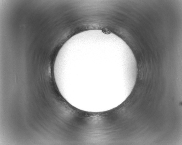 X0000065250310200603172211