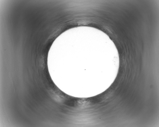 X0000065250311200603172211