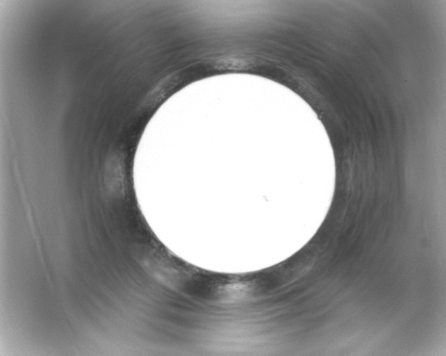 X0000065250312200603172211