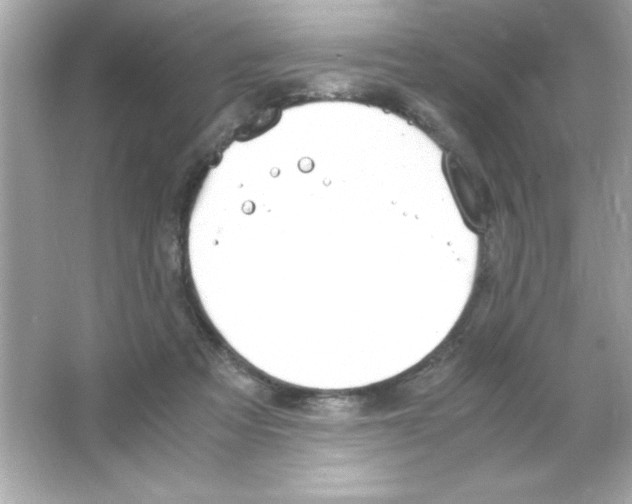 X0000065250313200603172211