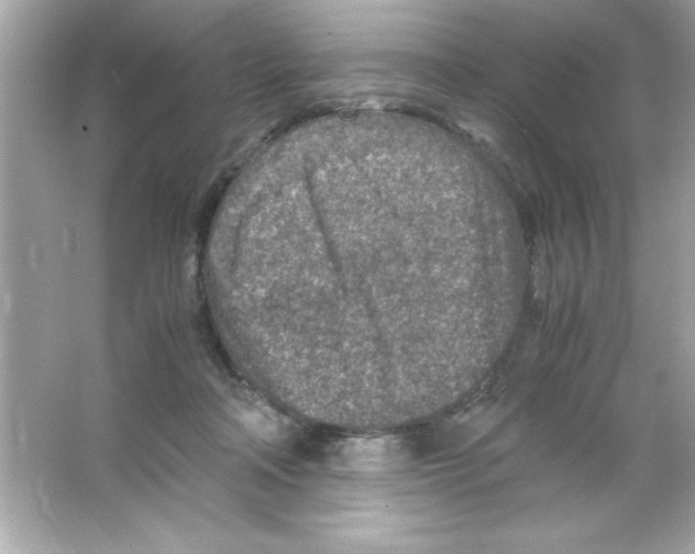 X0000065250314200603172211