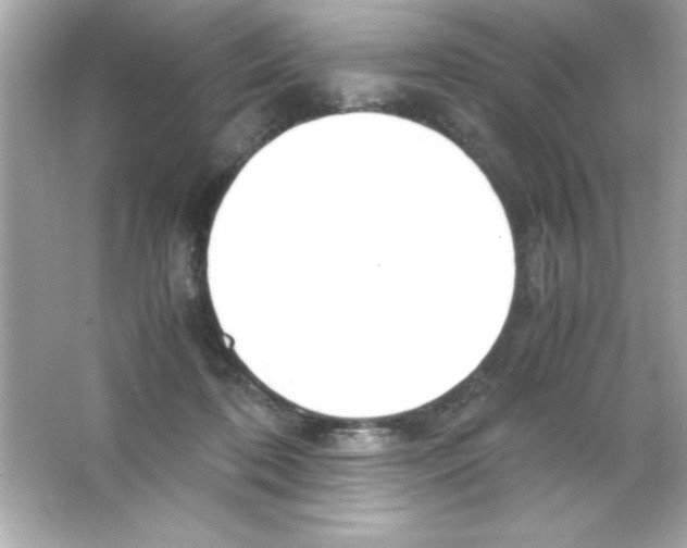 X0000065250316200603172211