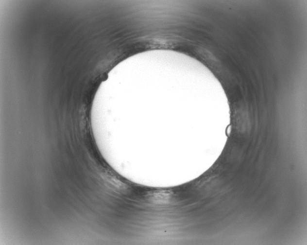 X0000065250318200603172211