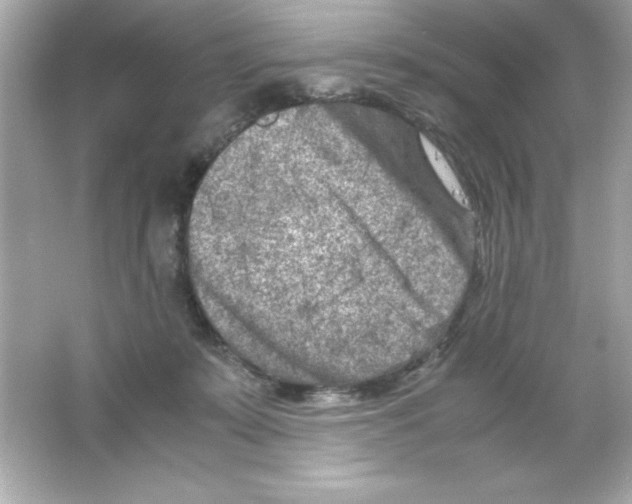 X0000065250319200603172211