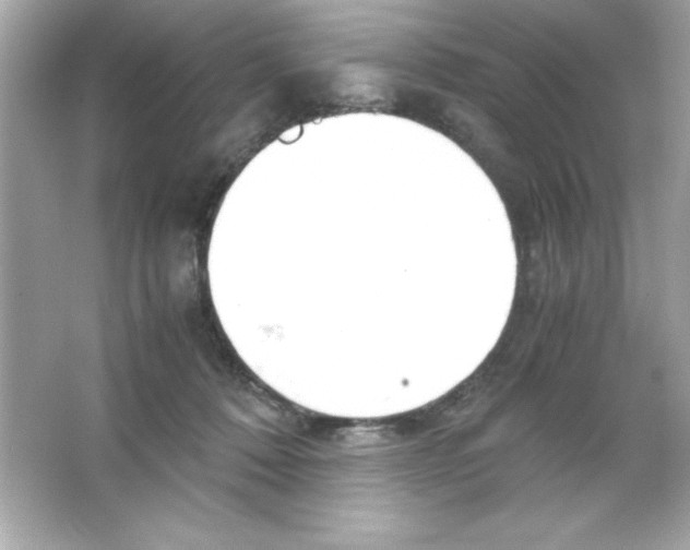 X0000065250320200603172211