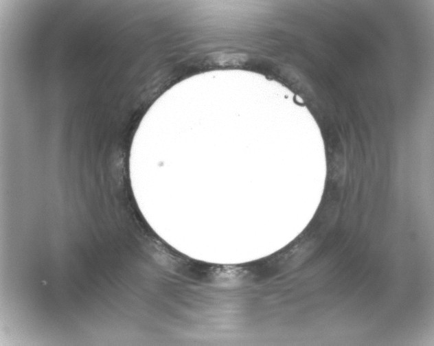 X0000065250321200603172211