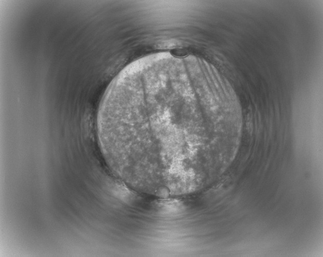 X0000065250322200603172211