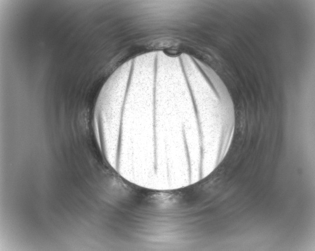 X0000065250326200603172211