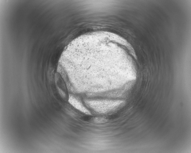 X0000065250327200603172211