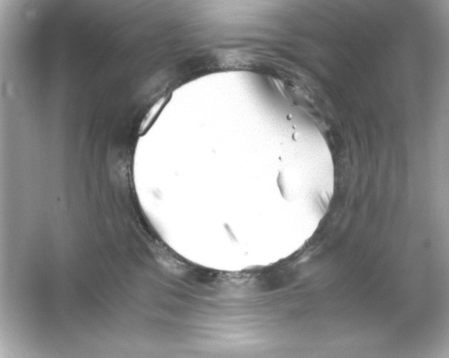 X0000065250329200603172211