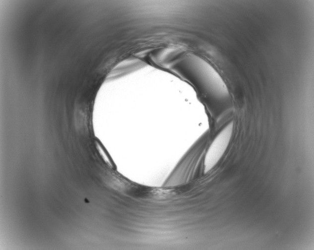 X0000065250333200603172211