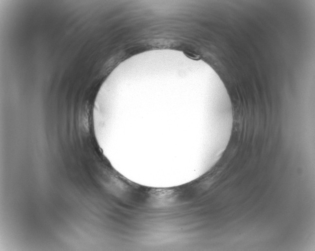 X0000065250334200603172211