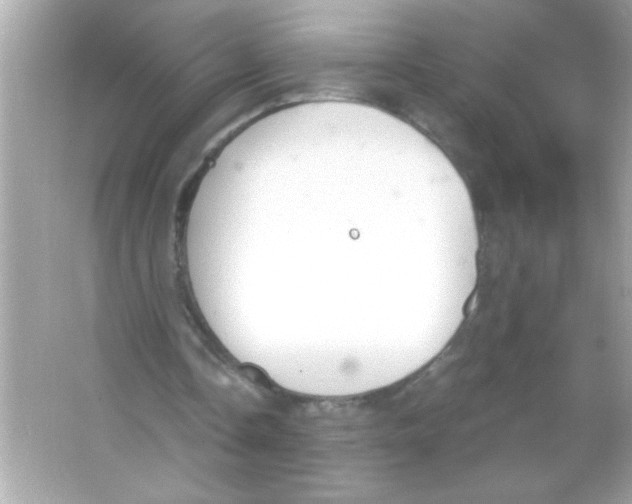 X0000065250338200603172210