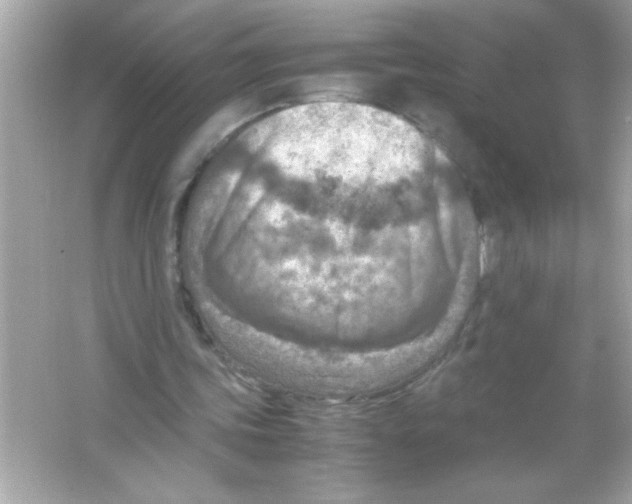 X0000065250339200603172210