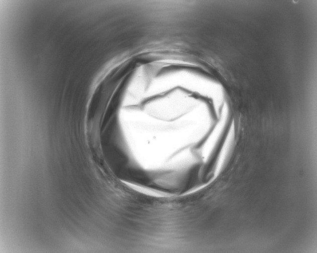 X0000065250340200603172210