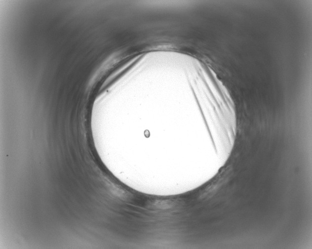 X0000065250341200603172210