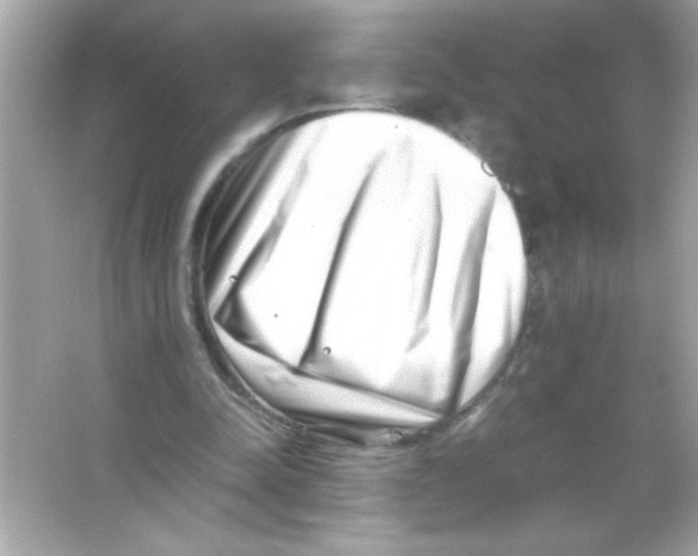 X0000065250342200603172210