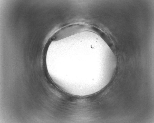 X0000065250344200603172210