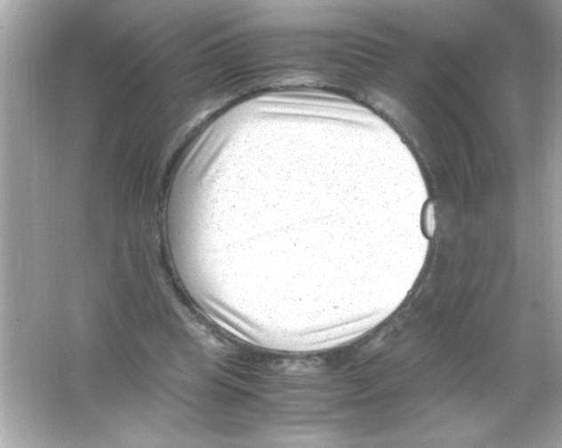 X0000065250345200603172210