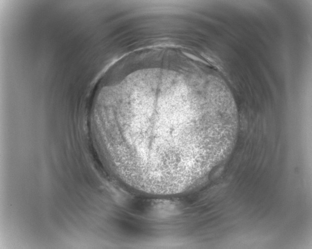 X0000065250347200603172210