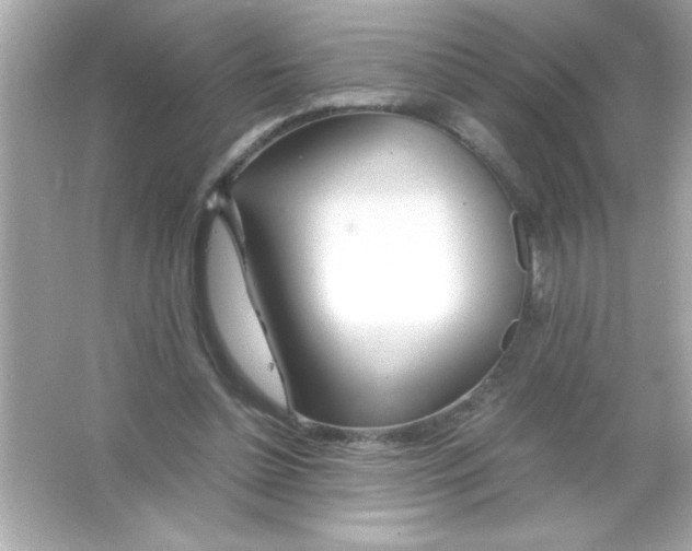 X0000065250348200603172210