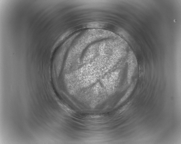 X0000065250349200603172210