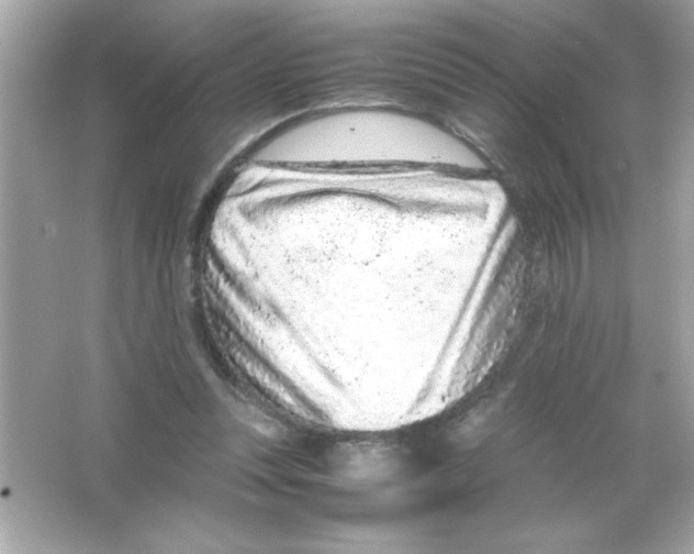 X0000065250351200603172210