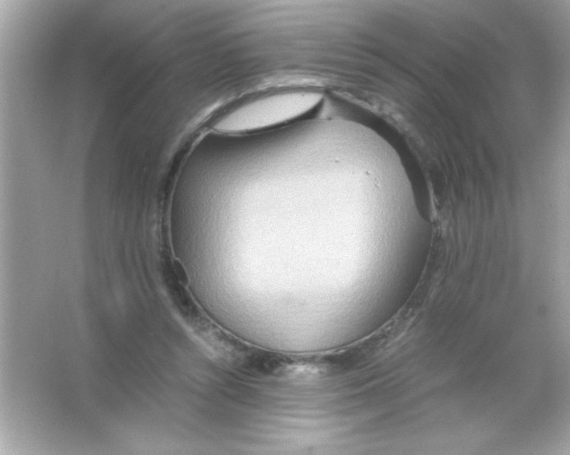 X0000065250352200603172210